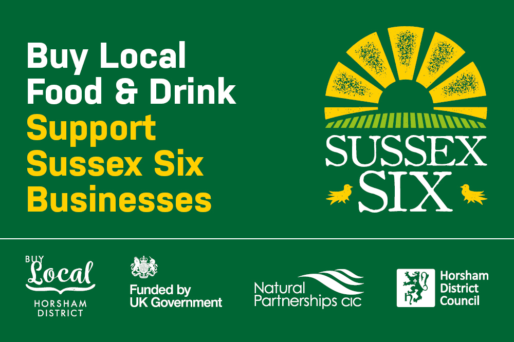 Sussex Six logo