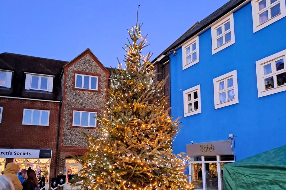 Image of a Christmas tree in Southwater Lintot Square