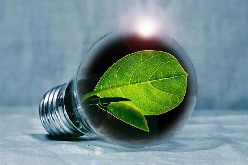A light bulb with a green leaf inside it to indicate green energy