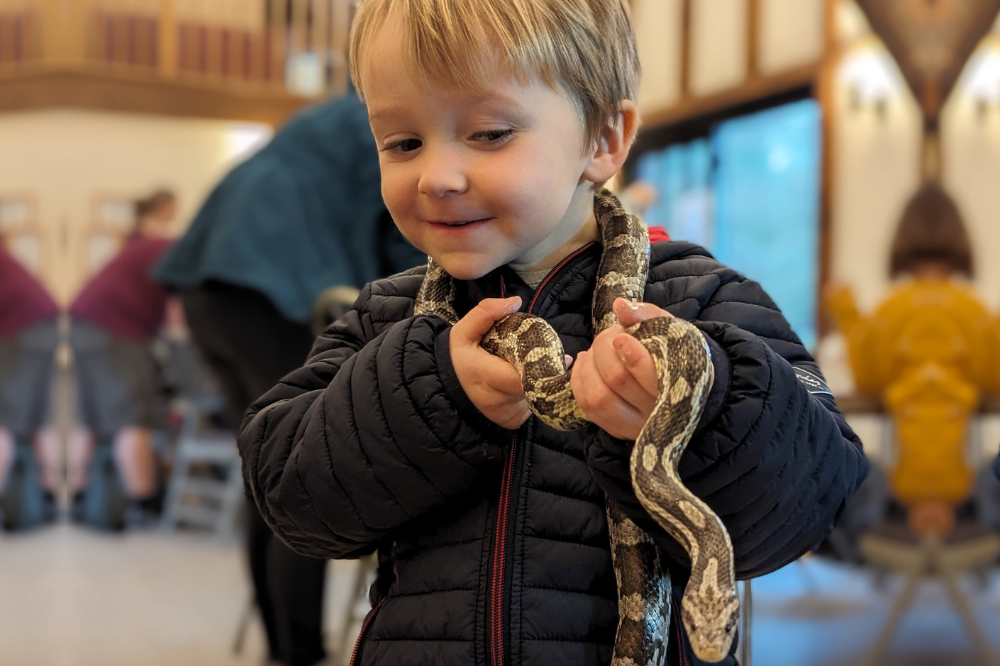 Animal encounter