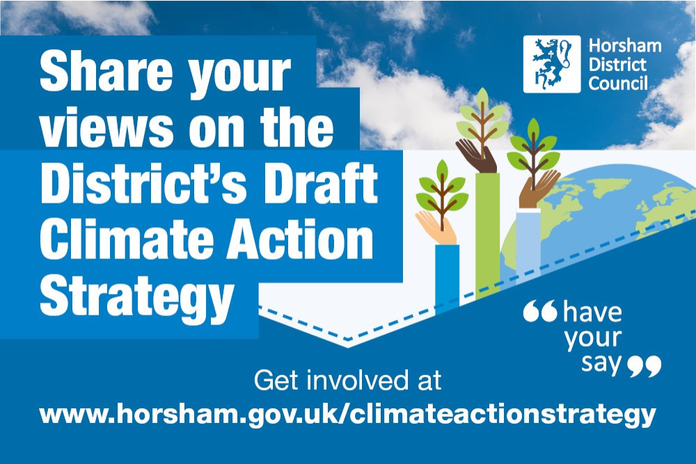 Climate Action Strategy survey