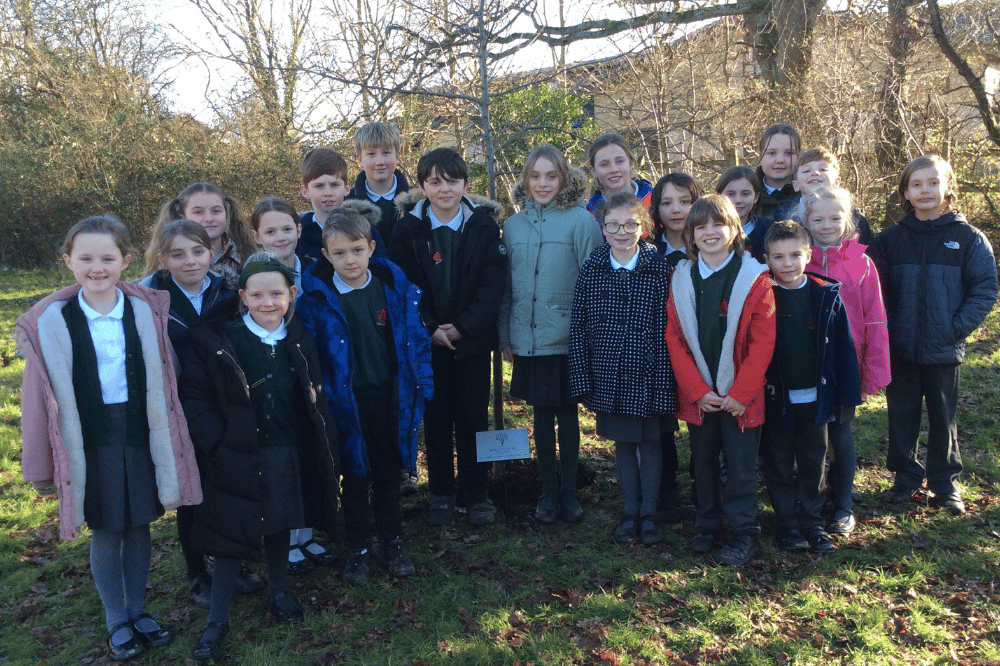 Ashington CE School pupils help plant Oak tree as part of the Queen's Green Canopy