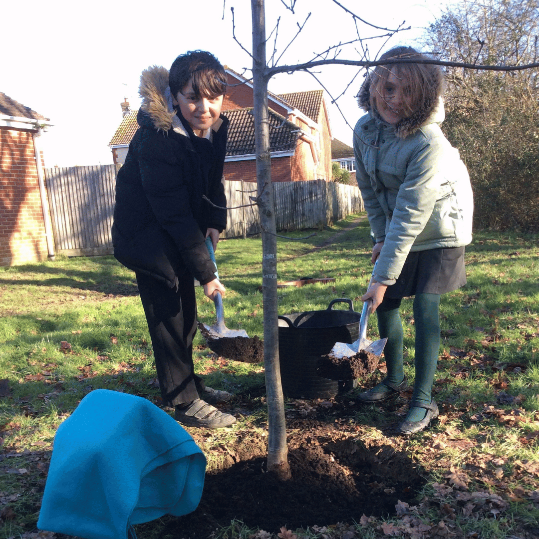 Ashington pupils planting the oak tree
