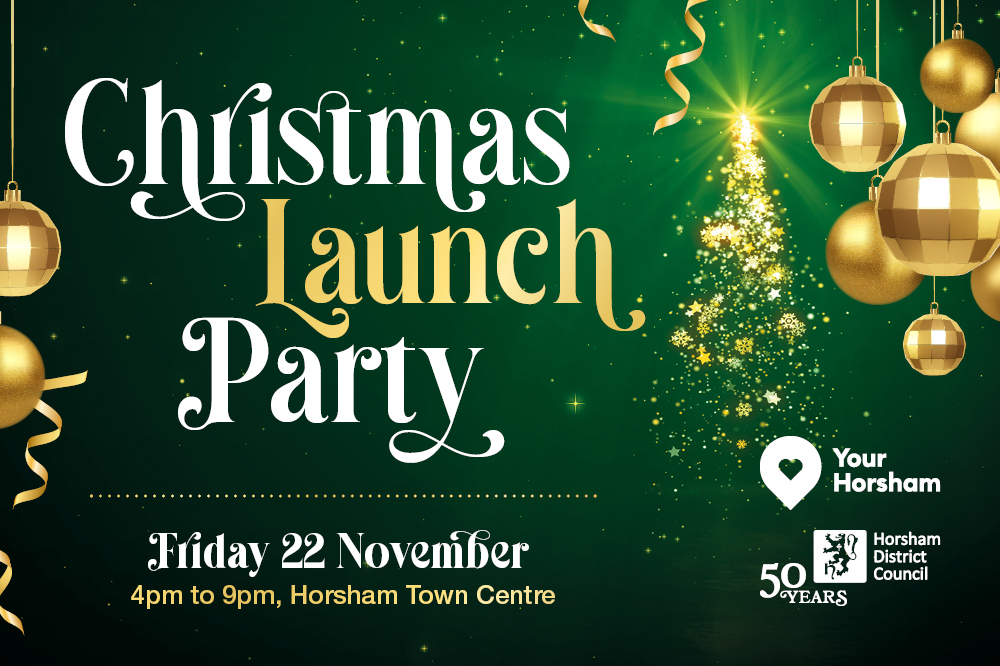 Christmas launch party Friday 22 November