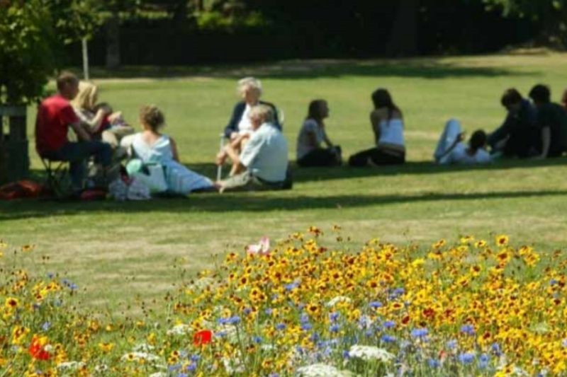 A group of people sit on grass near a flowerbed enjoying a park
